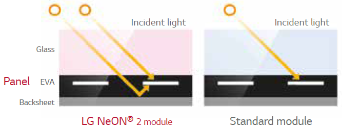 The NeON® Cell produces energy from both the front and the back of the cell because the panels absorb light from both sides